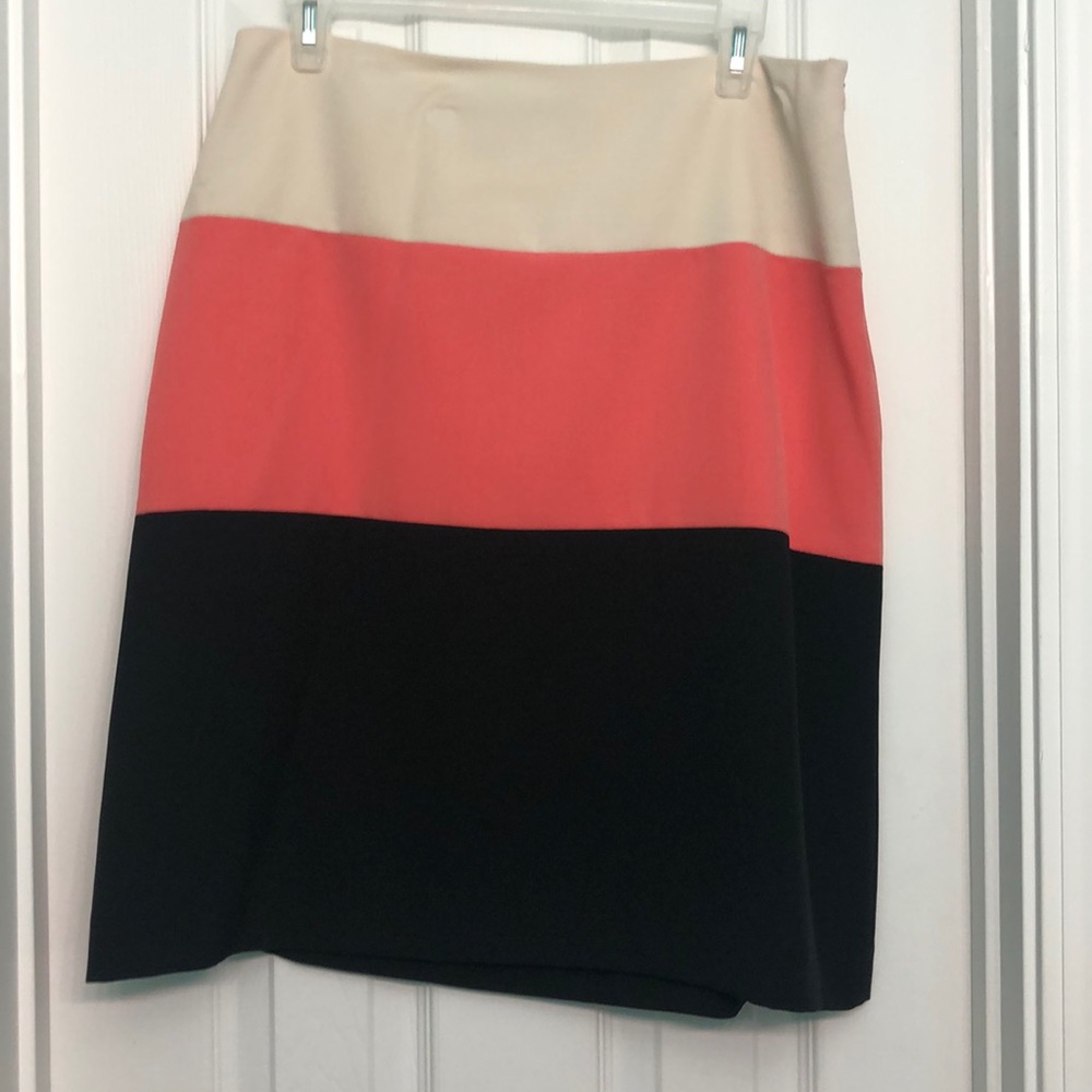 Multi-colored Pencil Skirt